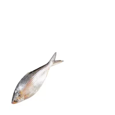 Whole Hilsha Fish (Asto Ilish) ±40 gm